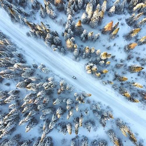 Photo #7403053