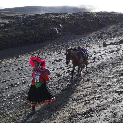 Photo #7403101