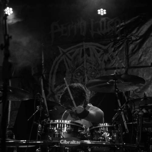 Фотография #7403113