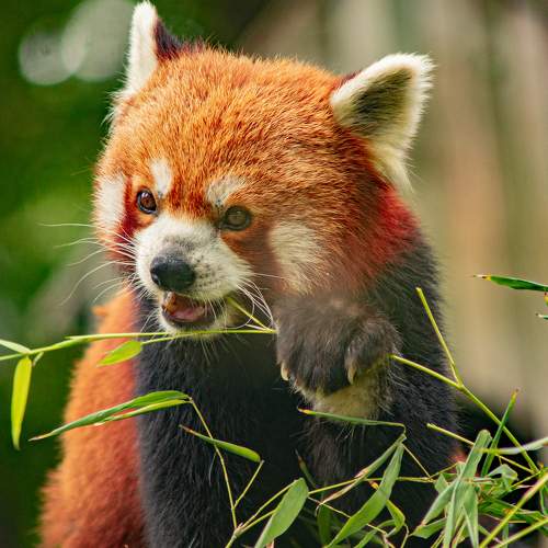 Photo #7403132