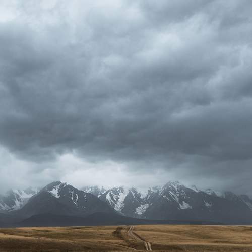 Photo #7403293