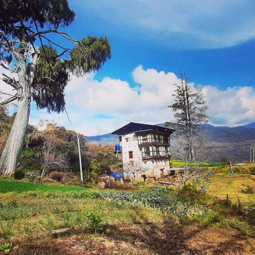 Photo #7403320