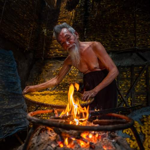 Silkworm farming for silk in Thai Binh, Vietnam
