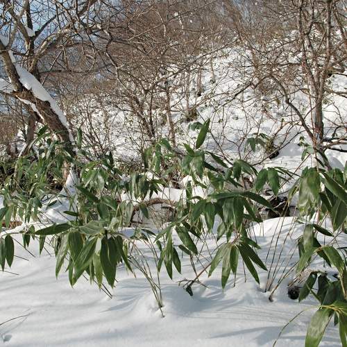 Photo #7403378
