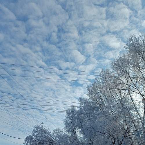 Photo #7403435