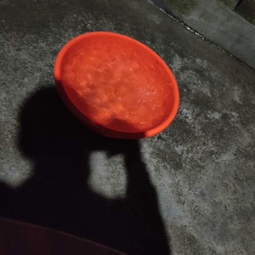 Photo #7403474
