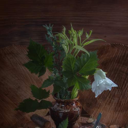 Photo #7403630