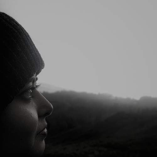 Photo #7403668