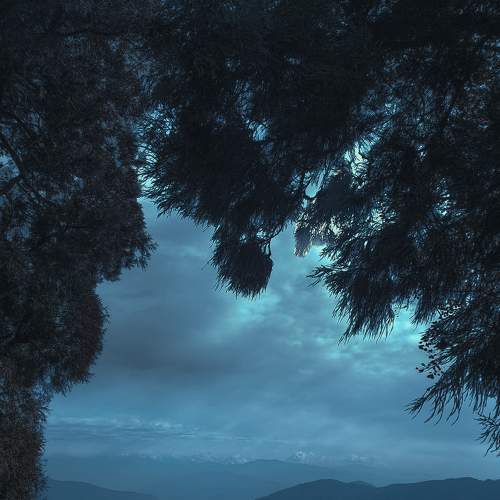 Photo #7403726