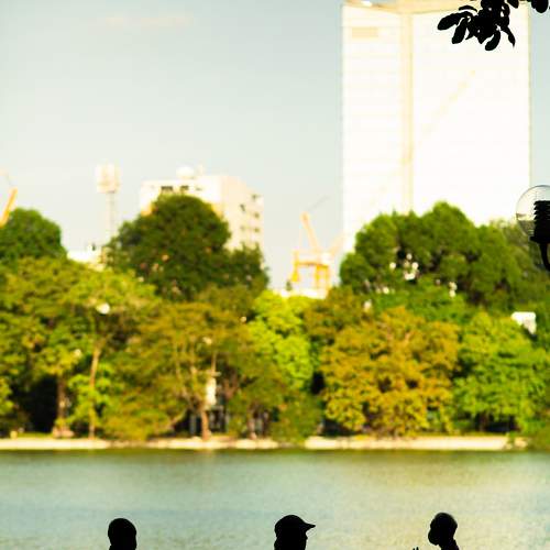 Photo #7403878
