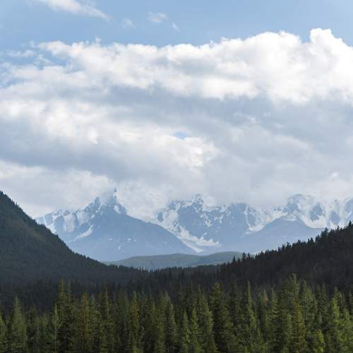Photo #7404222