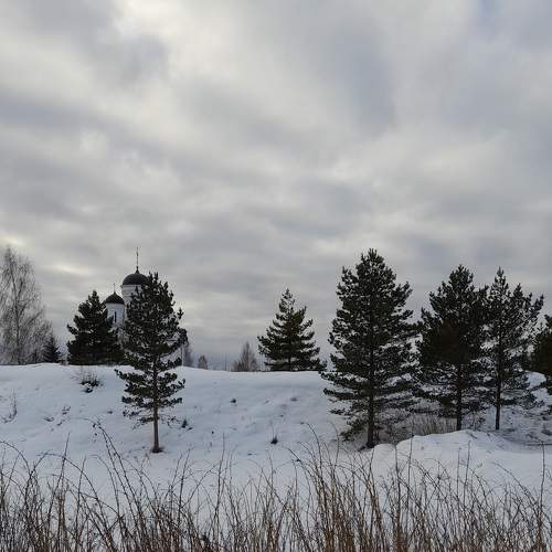 Photo #7404461
