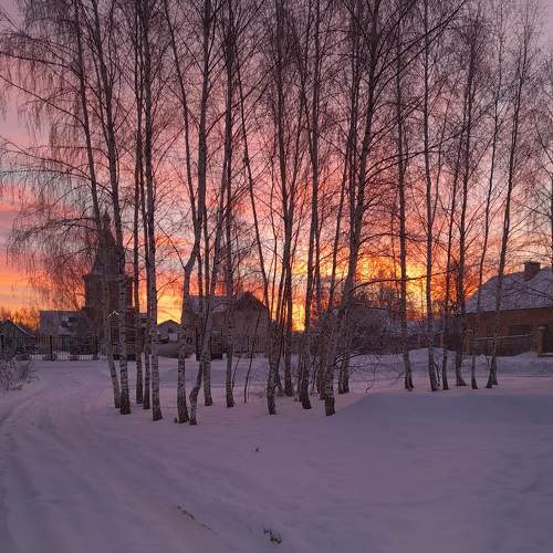 Photo #7404463