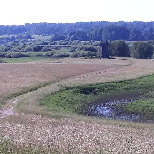 Photo #7404615