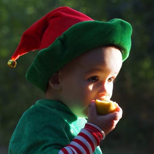 Photo #7404841
