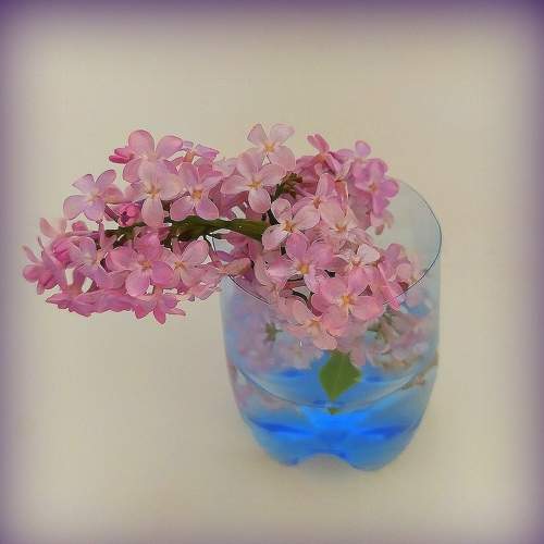 Photo #7404892