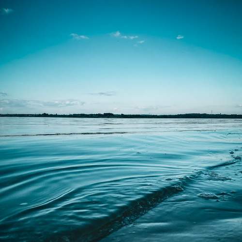 Photo #7405148