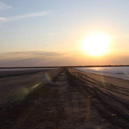 Photo #7405181