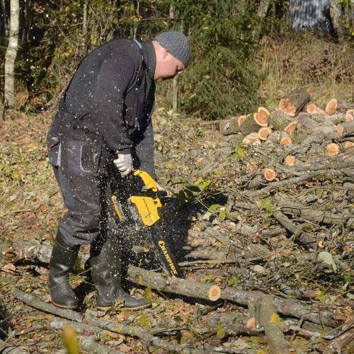 Photo #7405290