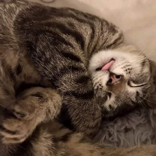 Photo #7405394
