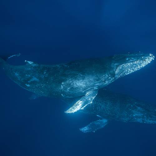 Photo #7405612