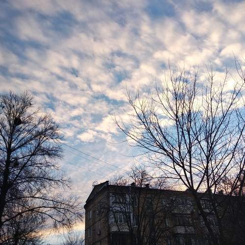 Photo #7405667
