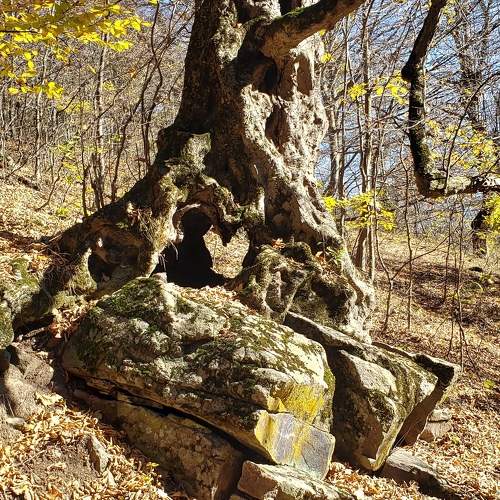 Photo #7405901