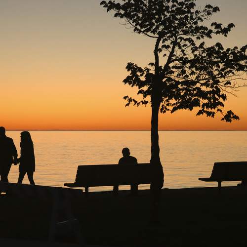 Photo #7405912