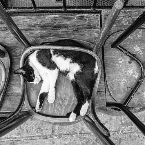 Photo #7405930