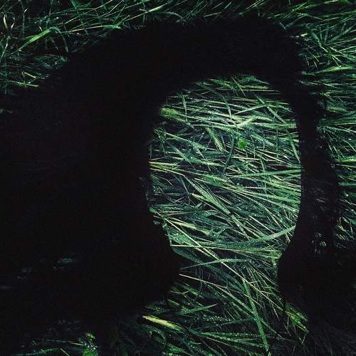 Photo #7406039