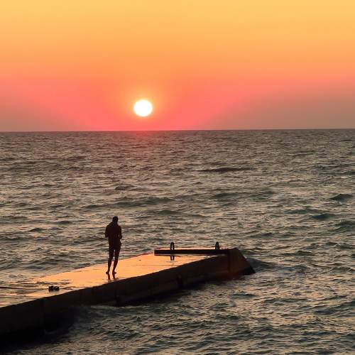 Photo #7406643