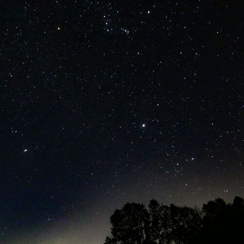 Photo #7406667