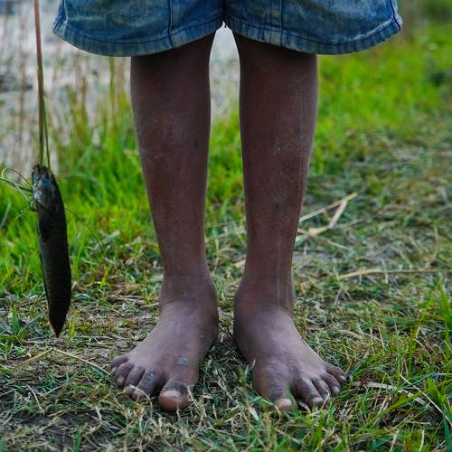 Photo #7406817