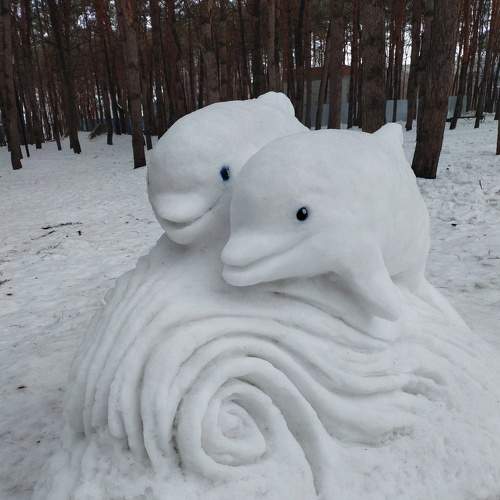 Photo #7406904