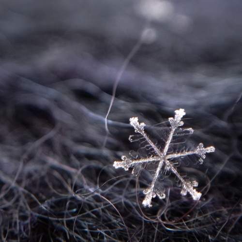 Photo #7407005