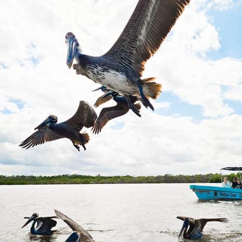 Photo #7407137