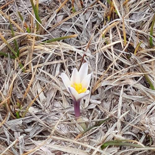 Photo #7407308