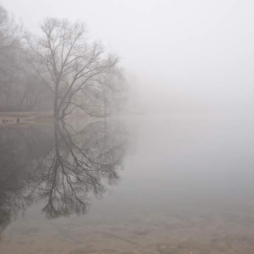 Фотография #7407318