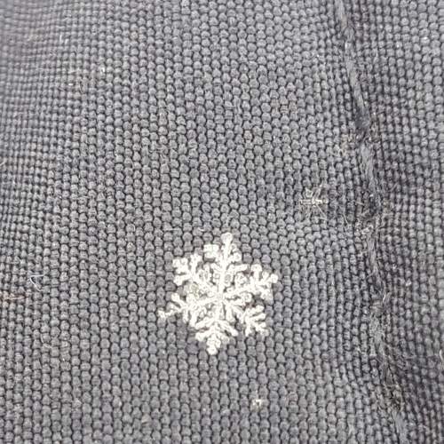 Photo #7407397