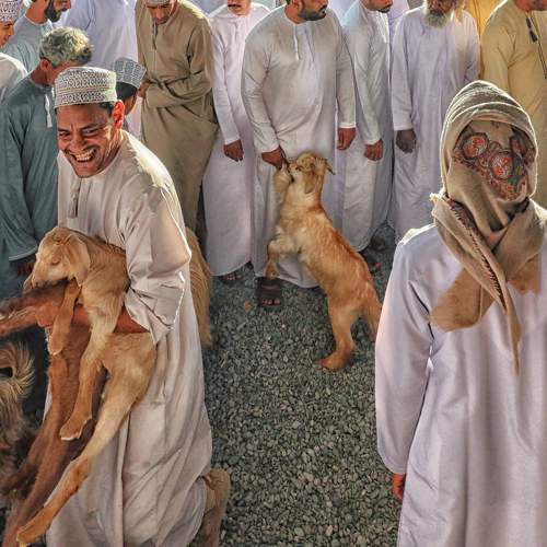 Photo #7407738