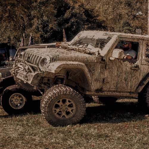 Photo #7408030