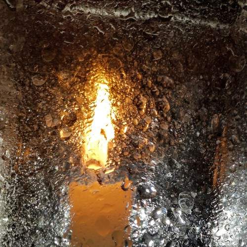 Photo #7408119