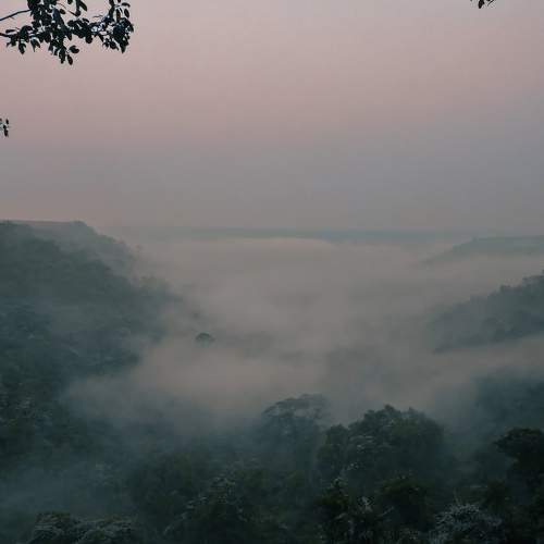 Photo #7408174