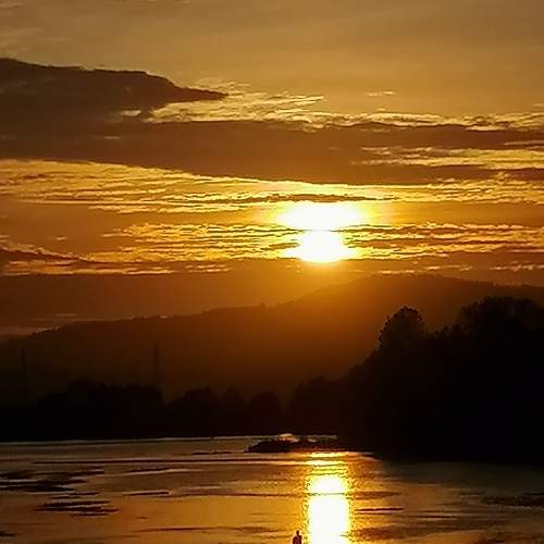 Photo #7408213