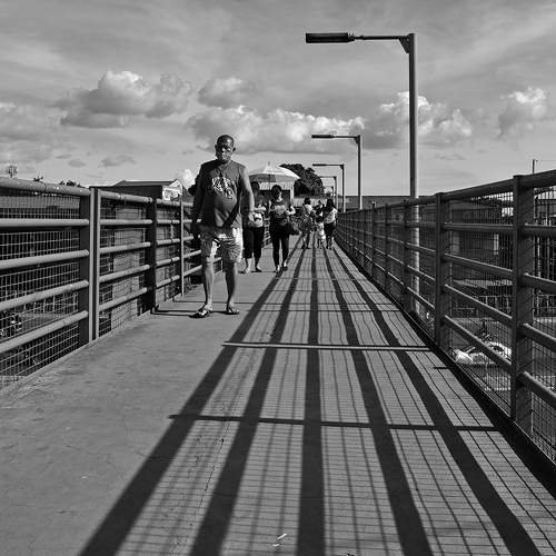 Photo #7408334