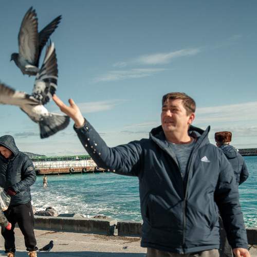 Photo #7408396