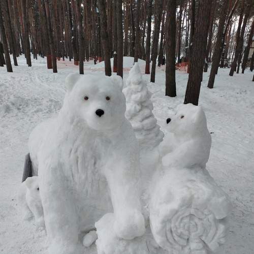 Photo #7408782