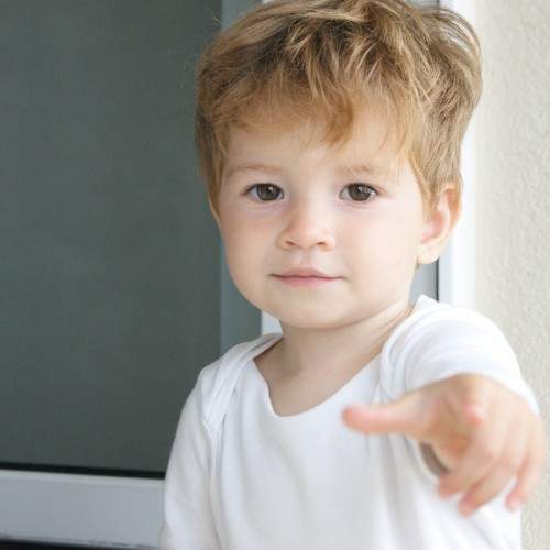 Photo #7408892