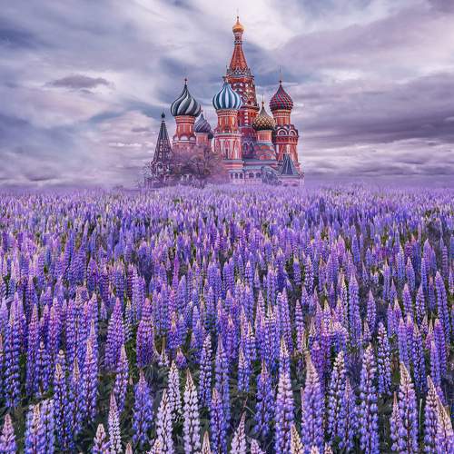 Lupin project