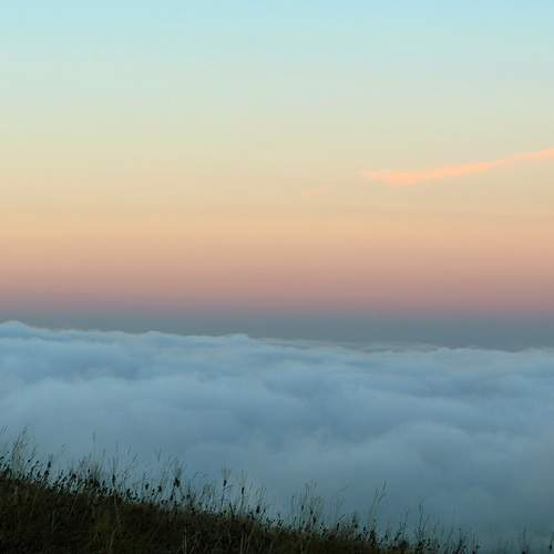 Photo #7409183